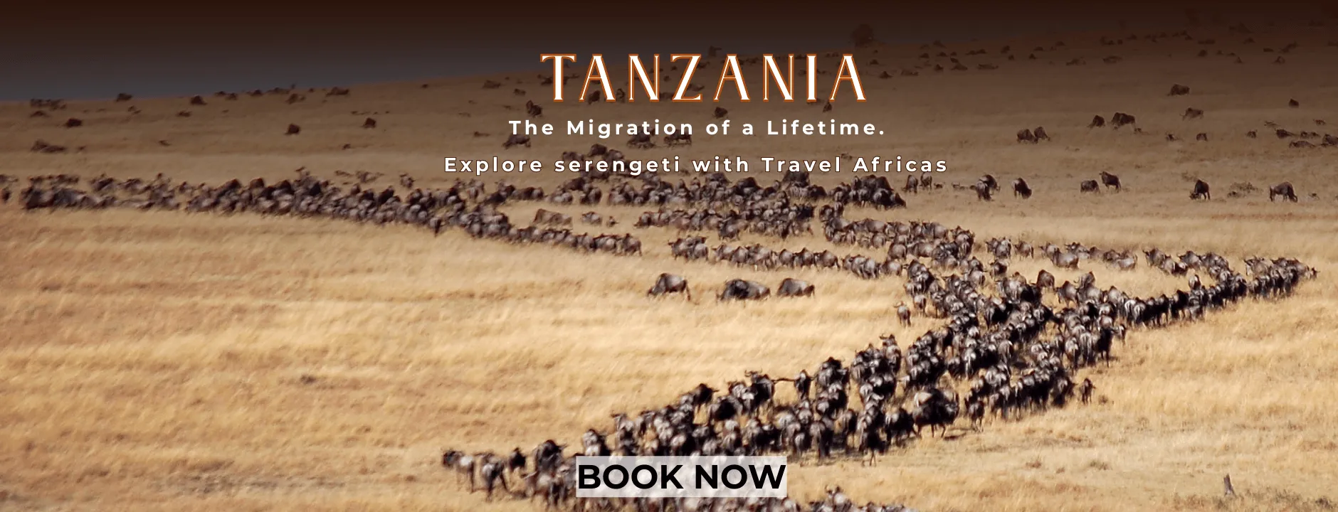 Uncover the Wonders of Tanzania's Wilderness