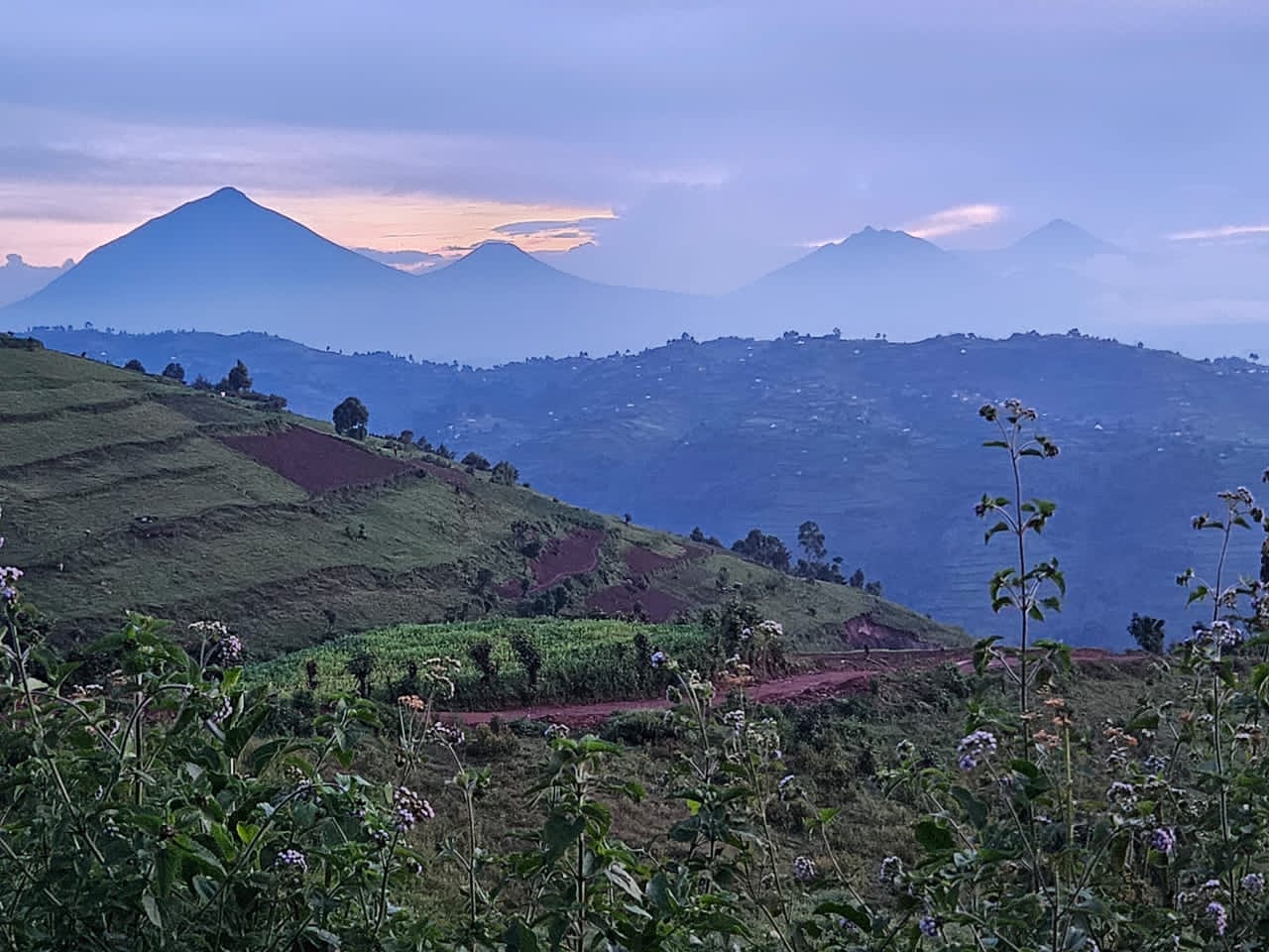 Mount Kenya & Kilimanjaro