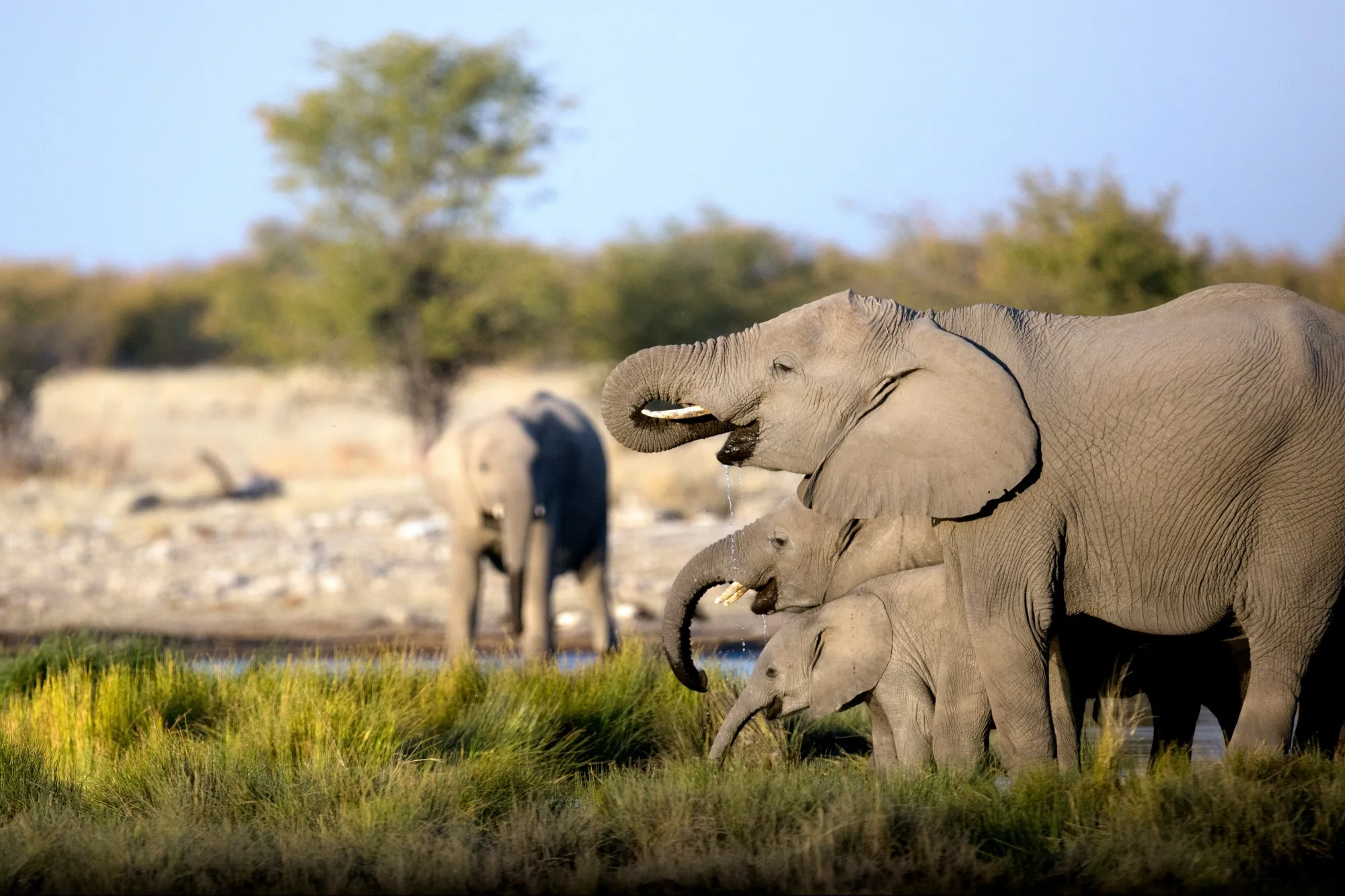 Kruger National Park — photo 3