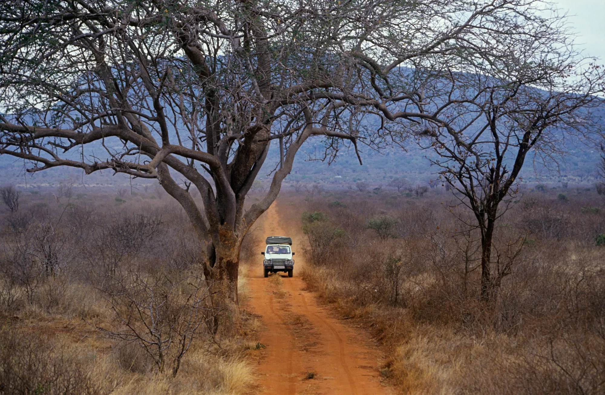 Tsavo National Parks (East & West)