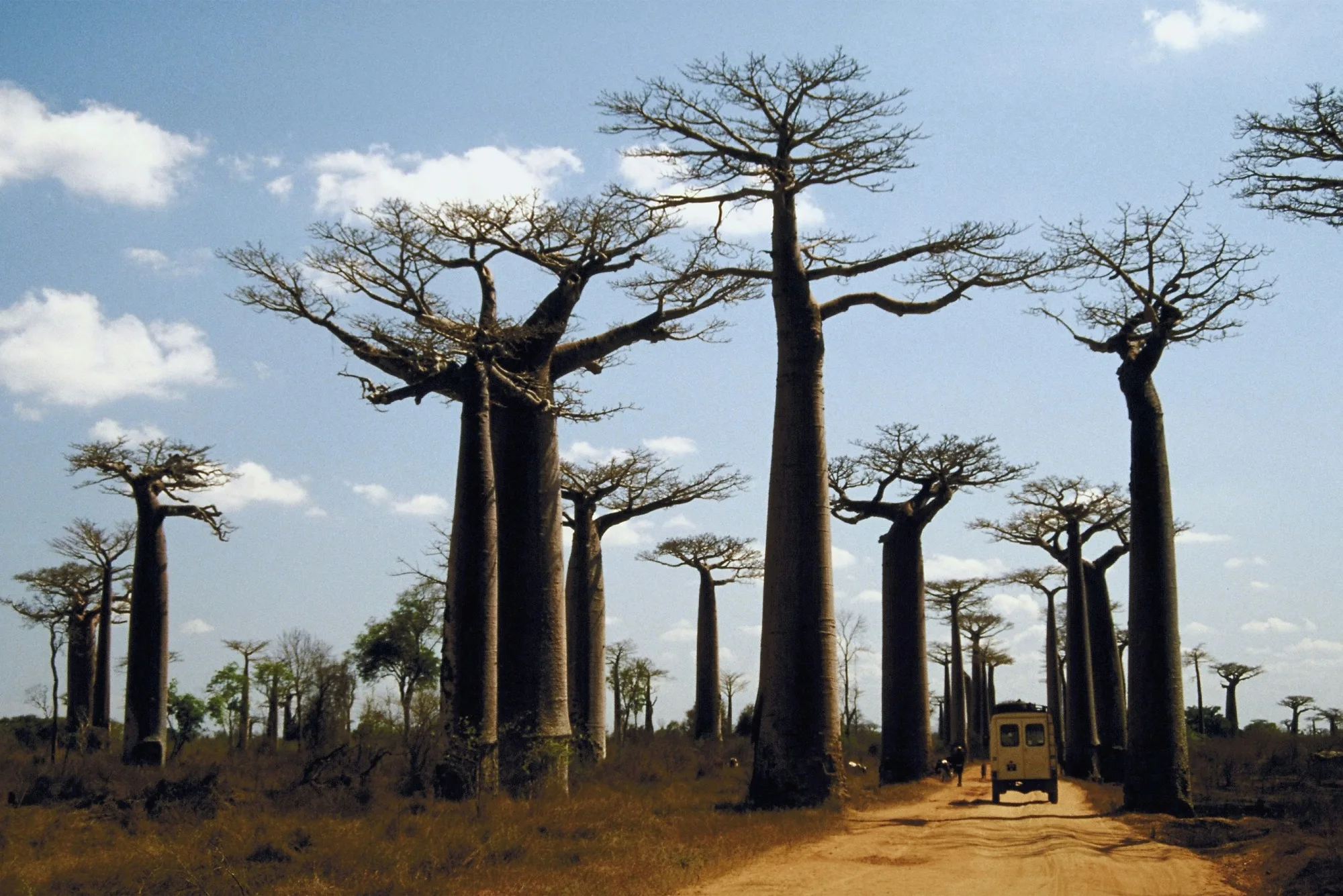 Madagascar