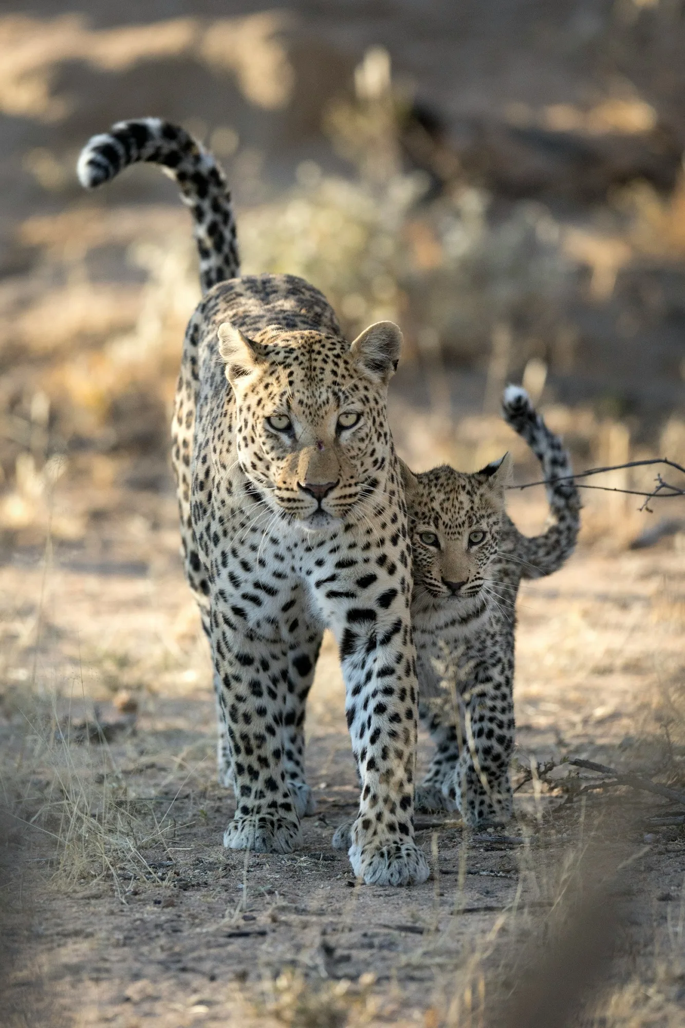 Kruger National Park — photo 2