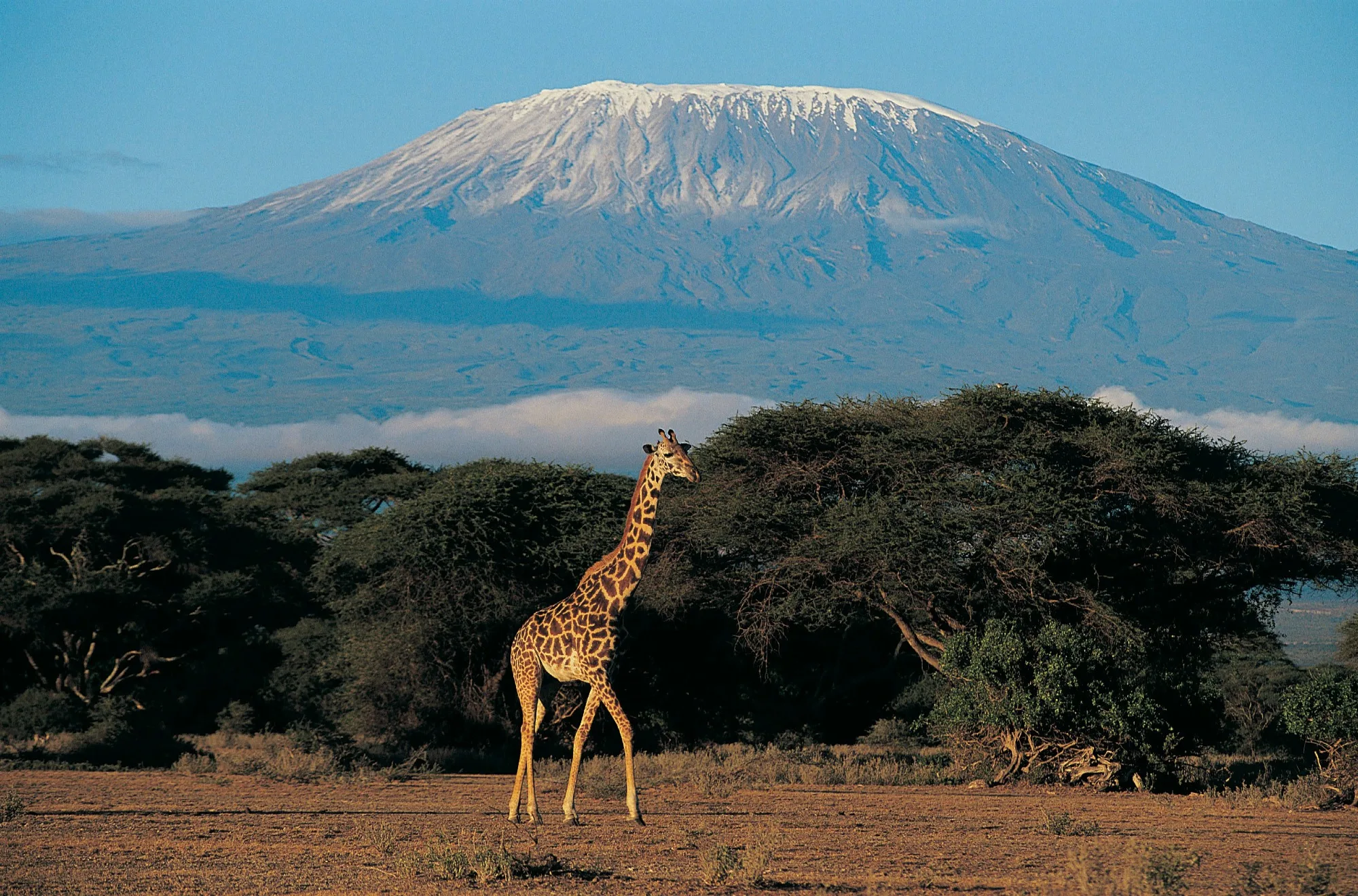 Amboseli National Park