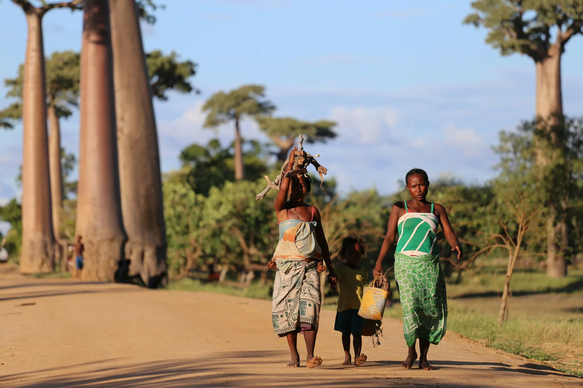 Avenue of the Baobabs & Morondava — photo 1