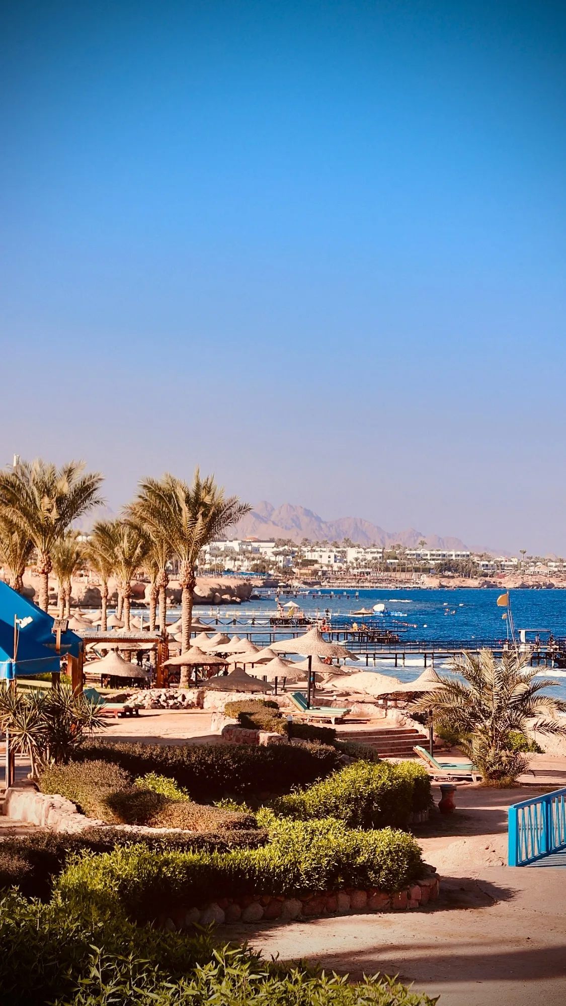 Red Sea & Sharm El Sheikh — photo 1