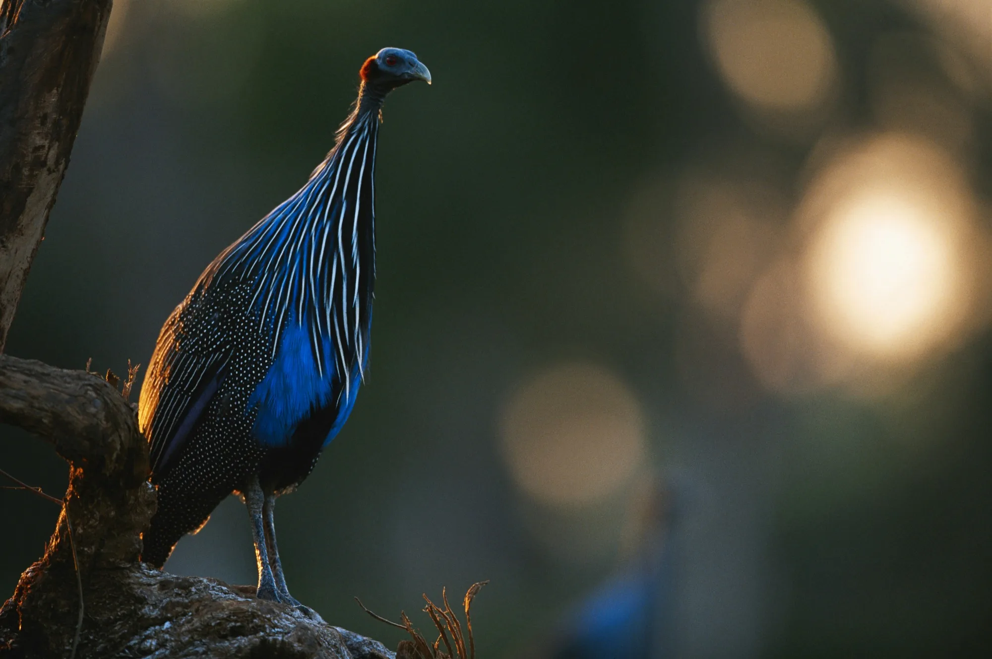 Samburu National Reserve landscape photograph 2