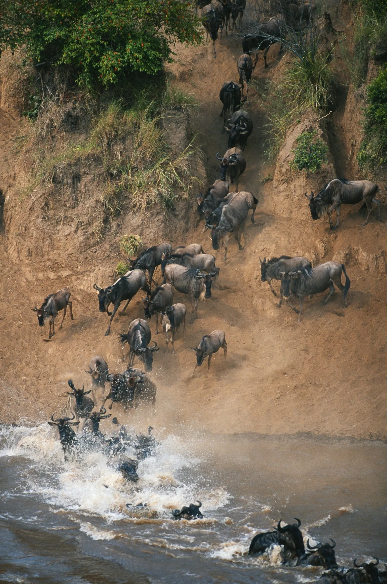 Serengeti National Park landscape photograph 2