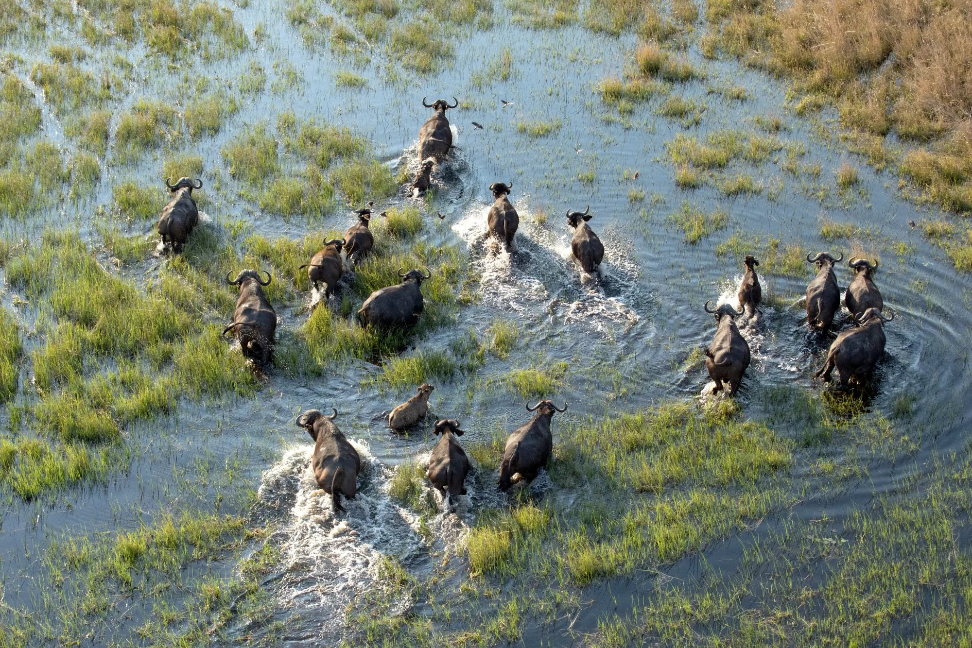 Chobe National Park