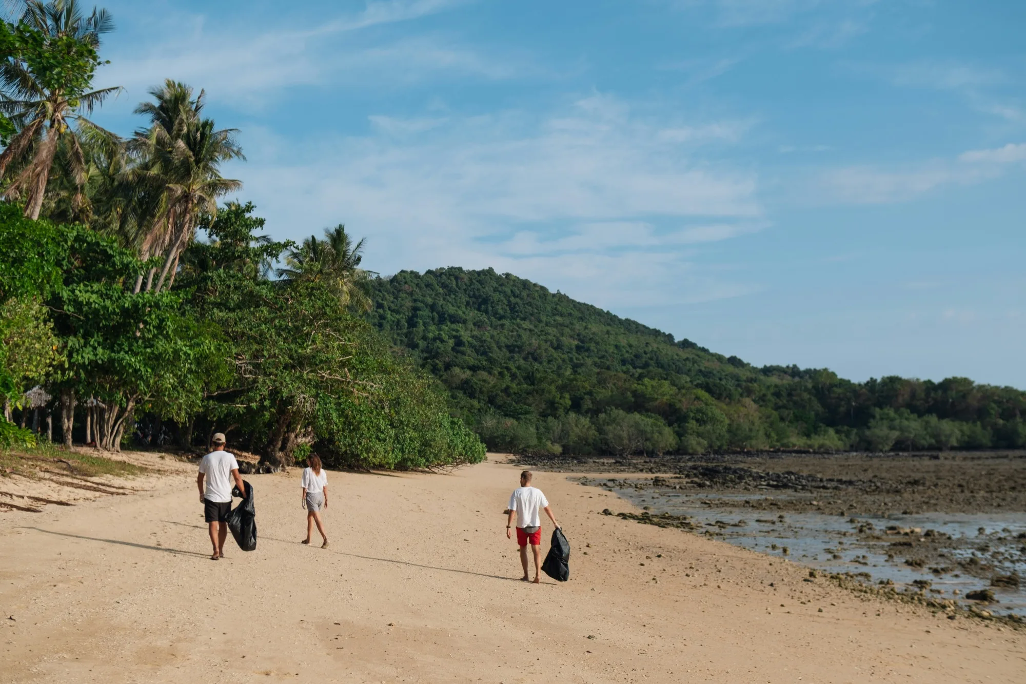 Diani Beach & Coast
