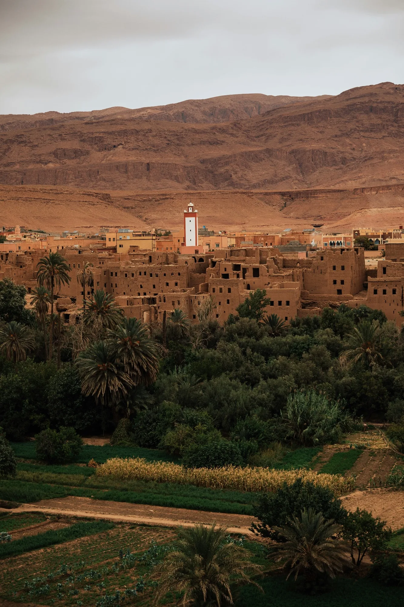 Aswan & Abu Simbel — photo 3
